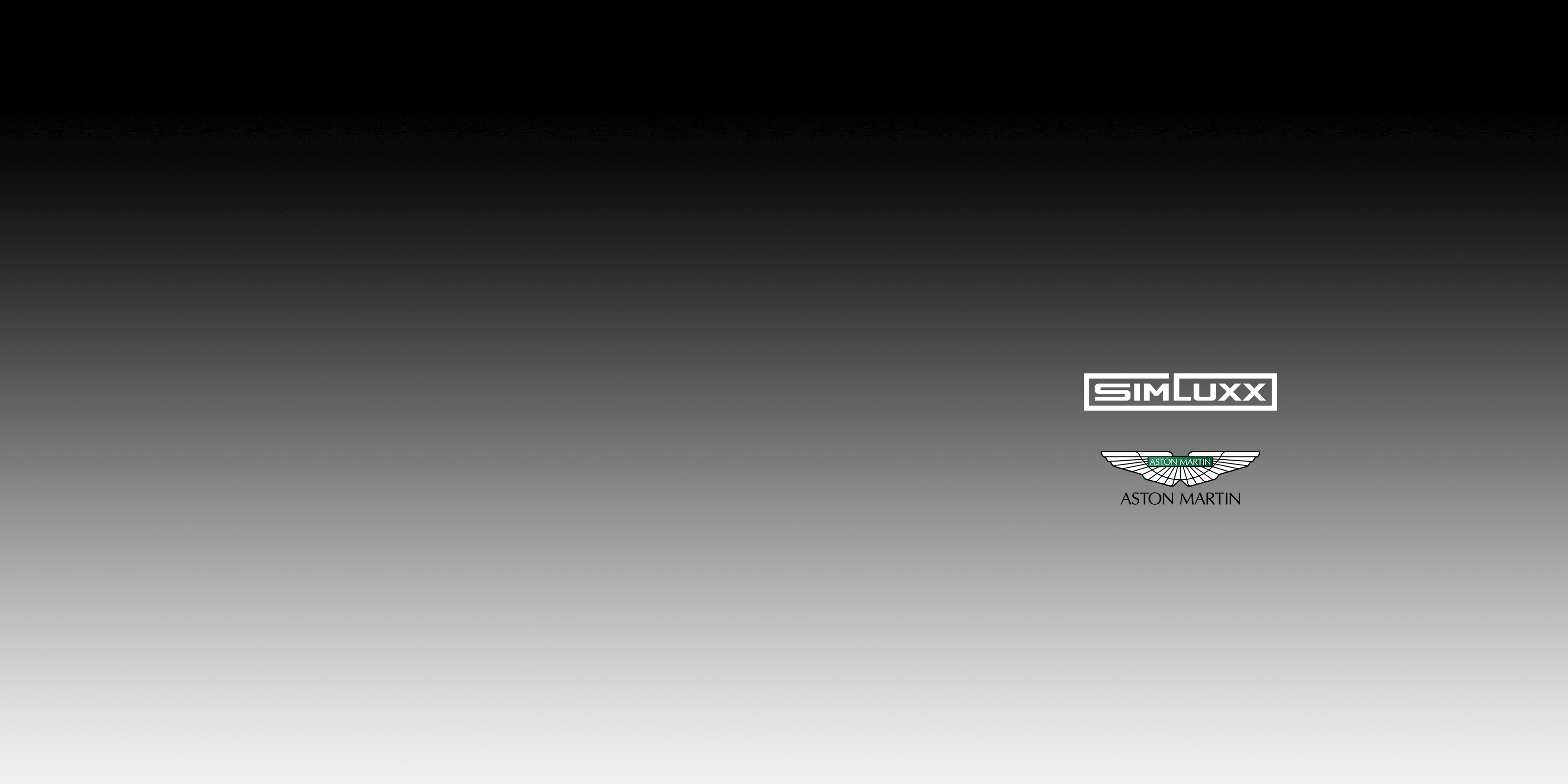AMR Banner For Racing Simulators