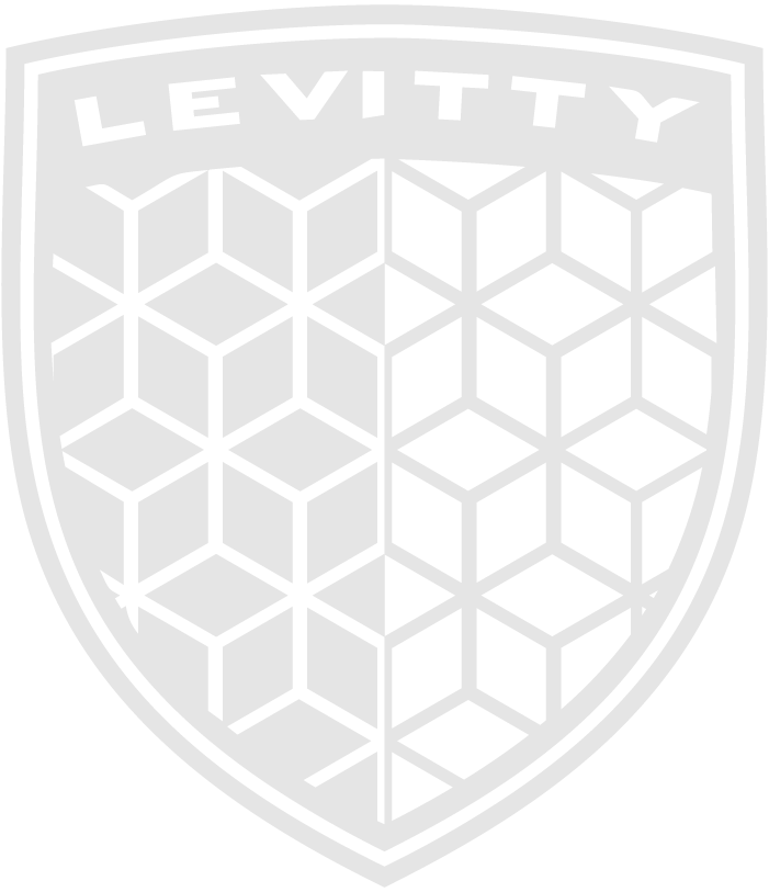Levitty Racing Simulator Logo